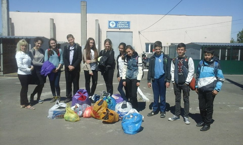 Николаевские школьники посетили питомцев «Центра защиты животных»