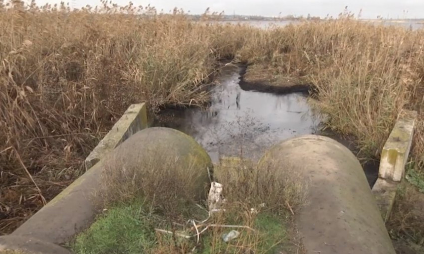В Николаеве угроза ЧС: в реку Ингул вылили нефтепродукты