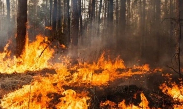 В Балабановском лесном урочище снова произошел пожар
