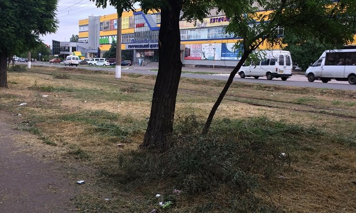 В Николаеве усыпали мусором аллею на улице Космонавтов
