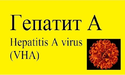 В Николаеве зафиксировано 35 случаев заболевания гепатитом А