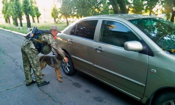 Николаевские собаки-полицейские уже разоблачили в зоне АТО оружия на целый арсенал