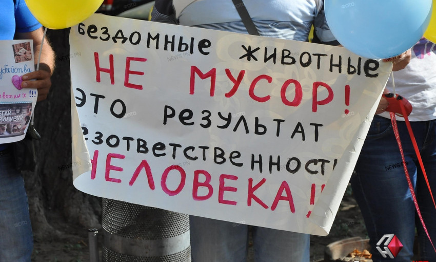 В Николаеве зоозащитники вышли на митинг против эвтаназии собак