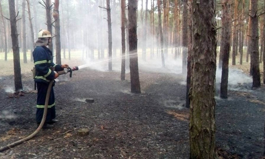 В Николаевской области горело 600 м² леса