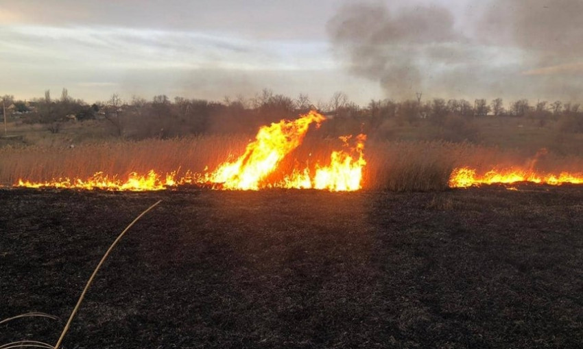 На Николаевщине фиксируют масштабные поджоги камыша