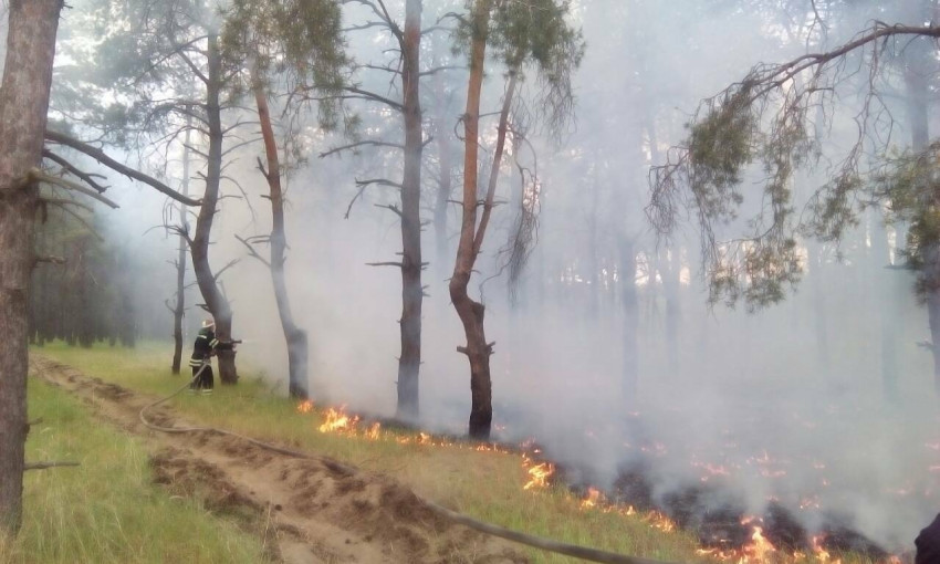 В Балабановском лесу был пожар