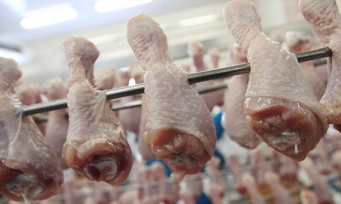 На комбинате питания в Николаевской области обнаружили курятину с сальмонеллой