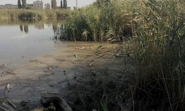 Николаевец предлагает обустроить возле озера в Лесках гидропарк