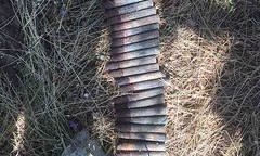 Николаевец с помощью металлоискателя нашел 35 снарядов – боеприпасы обезвредили спасатели
