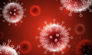 В Николаеве рекордное количество заразившихся коронавирусом: 92 за сутки