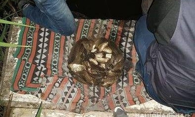 На Николаевщине поймали браконьера, вылавливавшего рыбу во время нерестового запрета