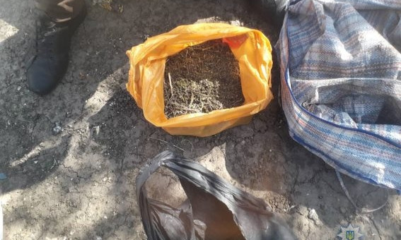 У жителя Баштанки обнаружили 4 килограмма наркозелья на общую сумму 100 тысяч гривен