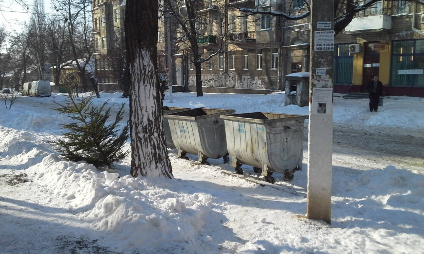 Николаевцы начали активно выбрасывать праздничные хвойные деревья